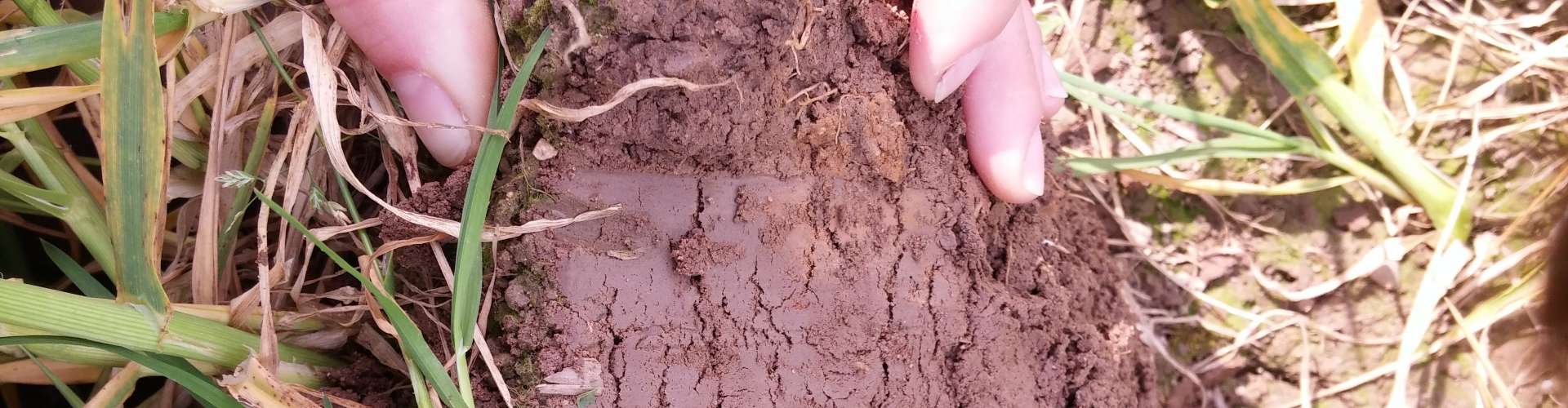 Soil Management